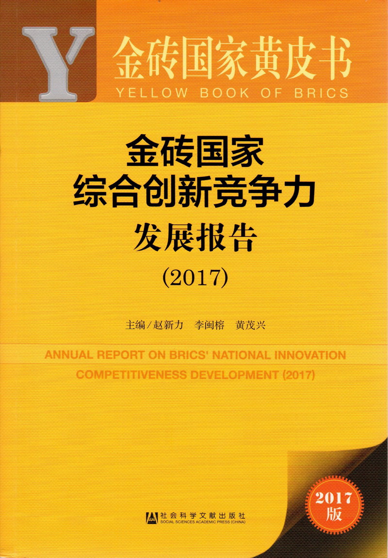 操死我了抱腰爆操视频金砖国家综合创新竞争力发展报告（2017）